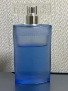 廃盤 ライジングウェーブ ゼロ ギルティ オードパルファム 香水 100ml