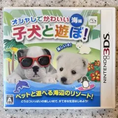 オシャレでかわいい 子犬と遊ぼ! -海編-