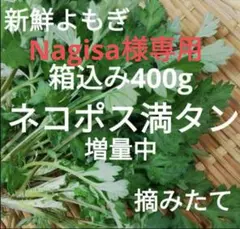 Nagisa様専用よもぎ箱込み約400グラム　ヨモギ　野菜詰め合わせよもぎ蒸し