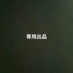 ぬいぐるみバッジ　ダッフィー＆フレンズ　ワンダフルフレンドシップ　２６点