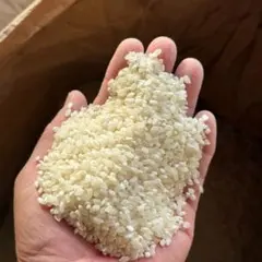 新米 ブレンド米 無洗米 20kg (10kg×2袋) - メルカリ