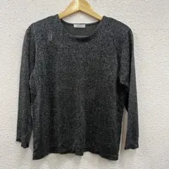 JANEL JUDE ジャネルジュード　ラメブラウス　ラメカットソー　肩バット入