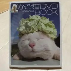 Item thumbnail for item 5508856a-1db0-4098-967f-d816dec14870