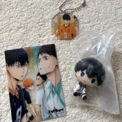 ハイキュー‼︎ 影山飛雄 1番くじ クリアカード 青葉城西＆鳥野 キーホルダー