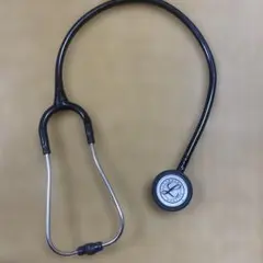 Item thumbnail for item c070ffe1-d889-4374-94dd-806c4cc85568