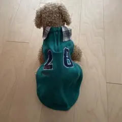 Item thumbnail for item 1888b719-2146-4262-9487-81fb18303672