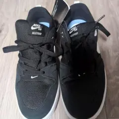 NIKE SB ALLEYOOP スニーカー 新品未使用のサムネイル