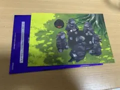 映画忍たま乱太郎　最強の軍師　特典(タソガレドキ)