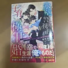 みけちゃん様 リクエスト 2点 まとめ商品