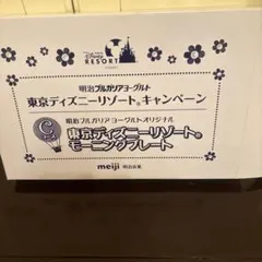 東京ディズニーリゾート プレートセット
