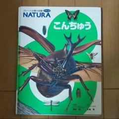 Item thumbnail for item 05c83b9b-6e76-4a32-84e6-1c9394691c32