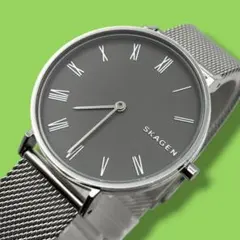 《美品 稼働品》 スカーゲン レディース腕時計 ローマン 防水 クオーツのサムネイル
