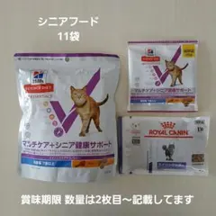 Item thumbnail for item bd0580be-3f31-4acd-9d17-eddc1ca78510