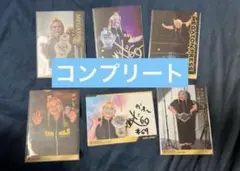 女子プロレス マリーゴールド トレーディングカード ダーレボ コンプ