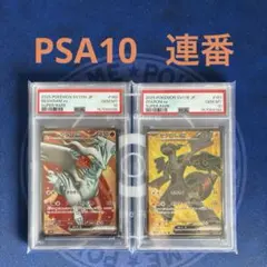 2026年最新】レシラム ゼクロム 連番の人気アイテム - メルカリ