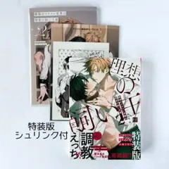 職場のイケメン営業は理想の飼い主様 2 特装版 アニメイトセット nocori