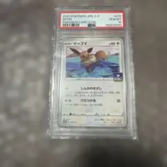 2026年最新】イーブイ プロモ psa10の人気アイテム - メルカリ