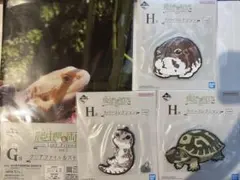 一番くじ爬虫類&両生類2 4点セット
