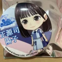 2025年最新】メンバー名：正源司陽子 ピンズ・ピンバッジ・缶バッジの