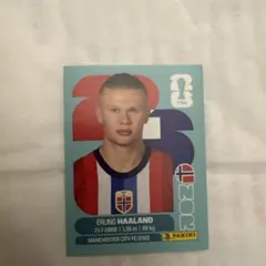 PANINI FIFAワールドカップ 2026 ステッカー ハーランド - メルカリ