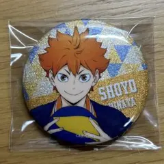 【ハイキュー】　 日向翔陽　ランダム缶バッチ