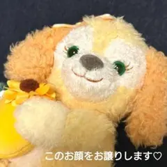 2026年最新】クッキーアン ぬいぐるみ mの人気アイテム - メルカリ