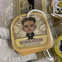 三代目JSB ELLY クリアチャーム ピンバッジ