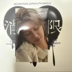 SEVENTEEN セブチ トレカ 会場限定 名古屋 ミンハオ