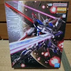 MG ディスティニーガンダム ガンプラ EXPO エキスポ 限定 クリアカラー