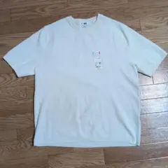 試着のみ　ウオッシャブルミラノリブニットTシャツ オフホワイト