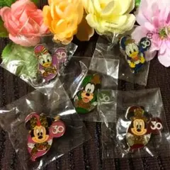 新品・未開封✨ ディズニーリゾート ３０周年 ピンバッジ コンプリートセット