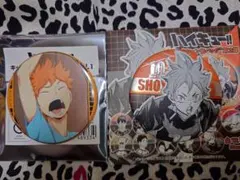 ハイキュー!!　日向翔陽