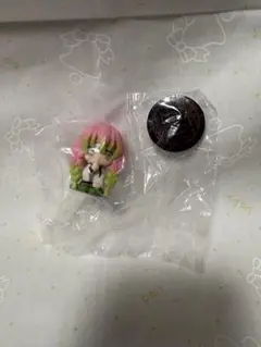 鬼滅の刃 すわらせ隊 甘露寺蜜璃