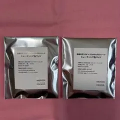 鬼滅の刃コラボ×リロホテルズ&リゾーツ トレーディング缶バッジ 未開封2点