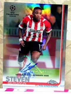 Topps Bergwijin スティーブン ベルフワイン サイン auto