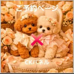 パネル生地 犬柄 ティータイムポメちゃん 先着5枚 5/5 - メルカリ