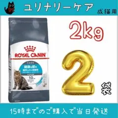2026年最新】ロイヤルカナン 猫 ユリナリー ケア 2kg×2袋の人気