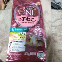 Item thumbnail for item 94e82241-803f-4737-a832-fc8a64f7a2e1