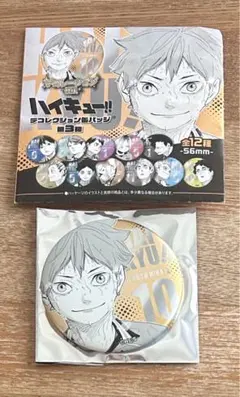 ハイキュー!! デコレクション缶バッジ 第3弾 日向翔陽