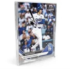 2025 Los Angeles Dodgers MLB Champions