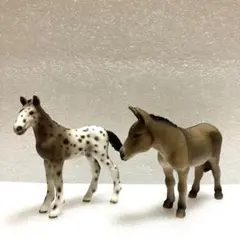 Item thumbnail for item 1a8203ee-e68f-4422-9f9f-c6d11eae3cf8