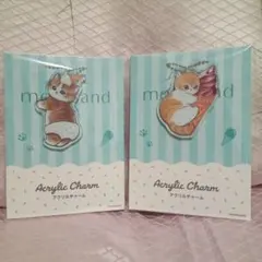 mofusand アクリルチャーム 2個セット