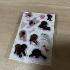 シールおすそ分けＮｏ．17