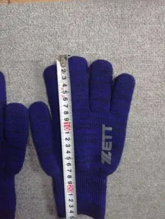 Item thumbnail for item 974886c7-80a9-40fb-a36e-4b6321191c72