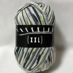 （1個）ドイツ製ソックヤーン TREKKING （XXL） col.676