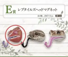 2025年最新】レプタイルズヘッドマグネットの人気アイテム