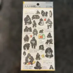 大人の図鑑シール　ゴリラ編　まとめ割あり　本文記載あり