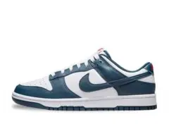 NIKE DUNK LOW   27cm