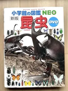 yoko様 リクエスト 3点 まとめ商品