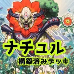 No.z165 売り切りセール中‼️ ナチュル　　構築済みデッキ　　遊戯王のサムネイル